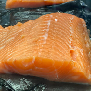 salmon